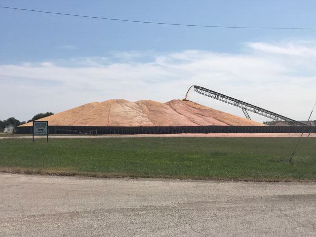 Piles of old crop corn, like this one at Armington, Illinois, have been popping up in the Eastern Corn Belt ahead of new-crop harvest. (Photo by Chad Colby, general manager of Central Illinois AG)